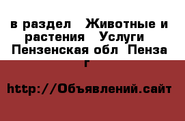  в раздел : Животные и растения » Услуги . Пензенская обл.,Пенза г.
